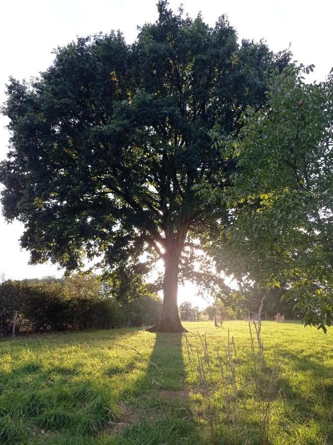 Bed and Breakfast La Roche Saint-Hilaire-des-Landes Esterno foto